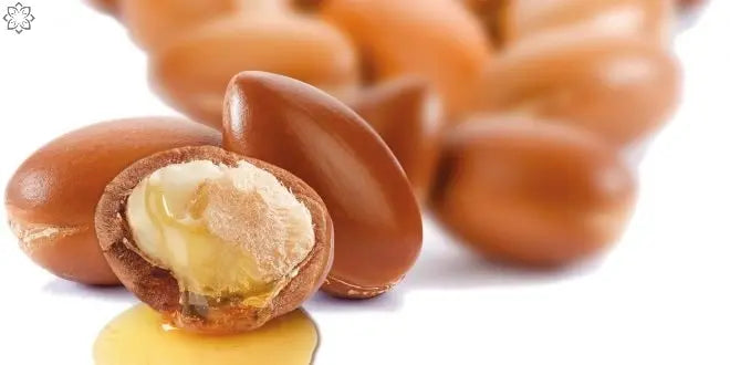 Huile d'argan : Le trésor de beauté naturel pour votre peau, cheveux et ongles - Oriana Cosmetic