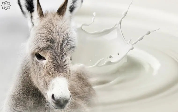 Lait d'ânesse : Le secret beauté révélé par Aurodhea de Chogan - Oriana Cosmetic