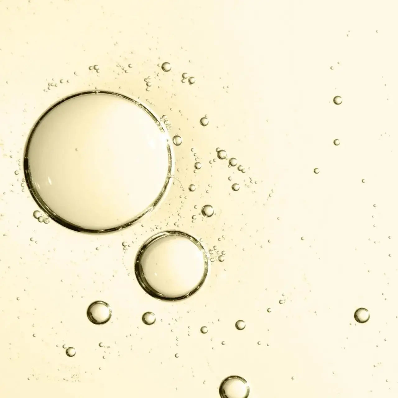 LOTION ANTI-CHUTE CAPILLAIRE À L'UNDARIA PINNATIFIDA Chogan