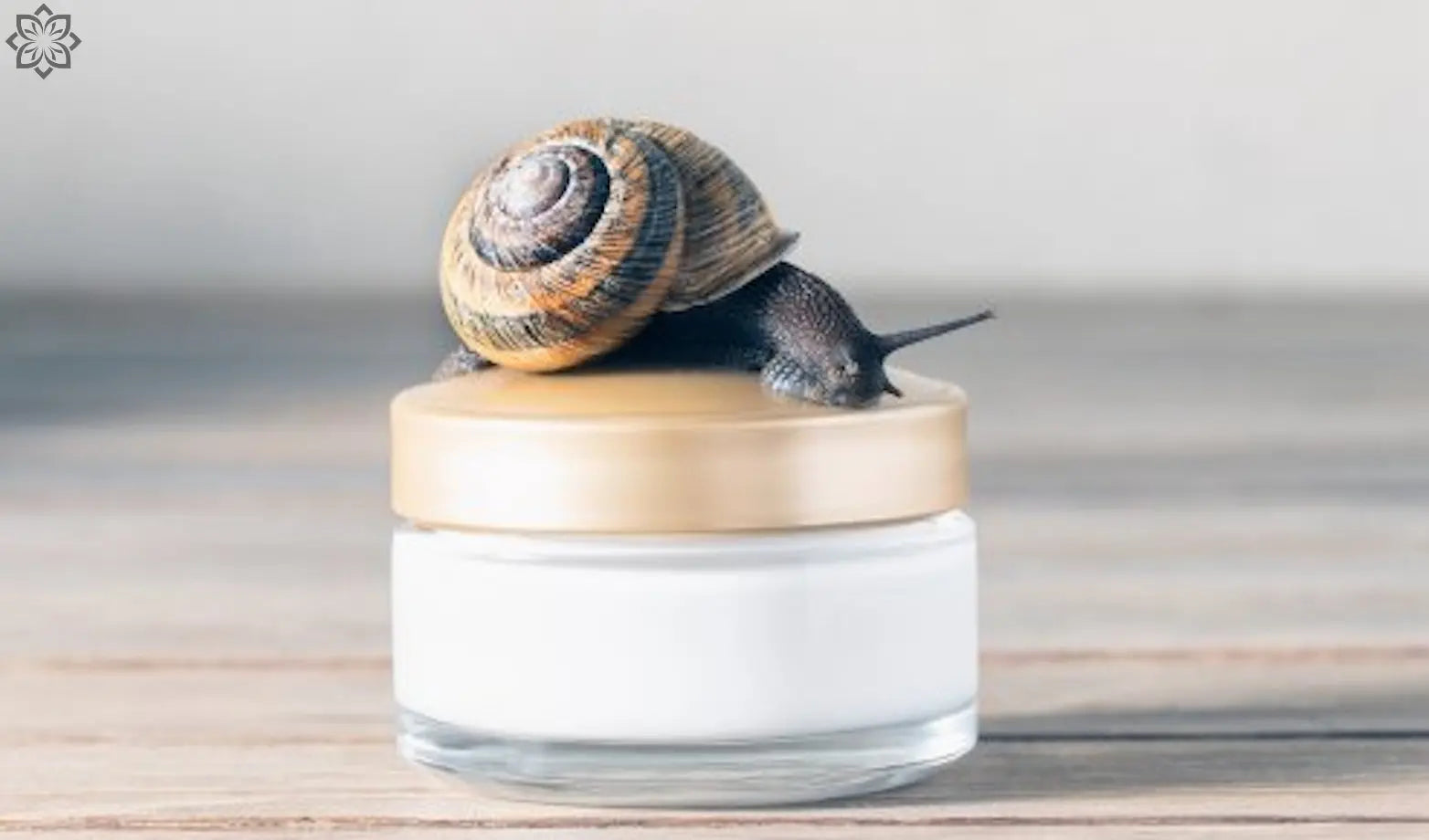 Bave d'escargot en cosmétique : Le secret d'une peau radieuse et régénérée - Oriana Cosmetic