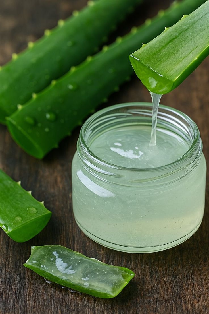 L'Aloe vera : Un trésor ancien de beauté et de santé