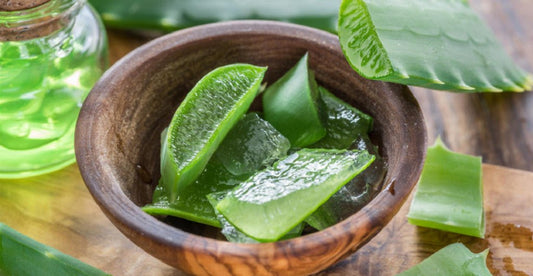 Découvrez les Merveilles de l'Aloe Vera : Une Plante aux Bienfaits Multiples pour la Peau et les Cheveux - Oriana Cosmetic