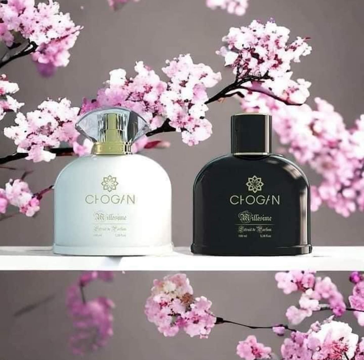 Parfums Chogan - Oriana Cosmetic