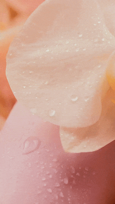 LUSH CLOUD Blooming Musk - Brumeparfumée cheveux Chogan