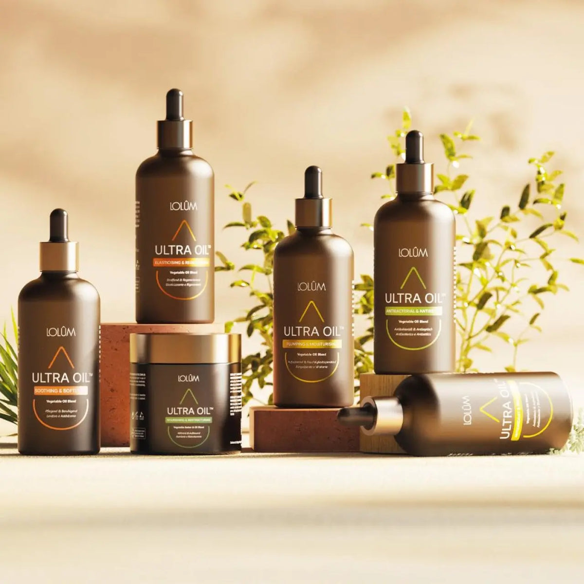 Lolûm ontdekkingsset plantaardige oliën – Vegetable Oil Blend Set