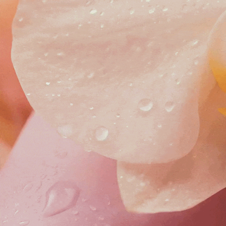 LUSH CLOUD Blooming Musk - Brumeparfumée cheveux Chogan